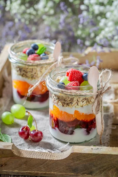 Fiocchi d'avena saporiti fatti di yogurt e bacche fresche — Foto Stock