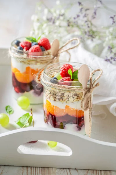 Homemade oat flakes made of yoghurt and fresh berries — Stock Photo, Image