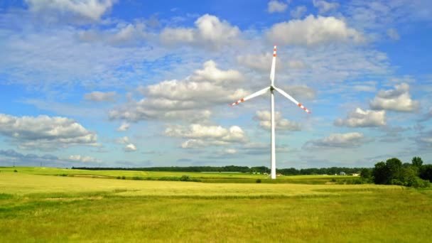 Turbiny wiatrowe z błękitnym niebem na zielonym polu, widok z góry w lecie — Wideo stockowe