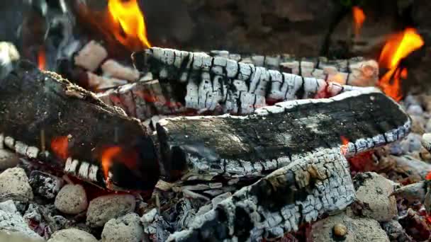 Heiße und rote Kohlen am Lagerfeuer im Sommer — Stockvideo