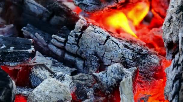 Primer plano de carbones calientes y rojos en hoguera de verano — Vídeo de stock