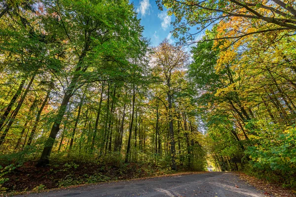 Bosque colorido e impresionante en el otoño en Europa — Foto de Stock