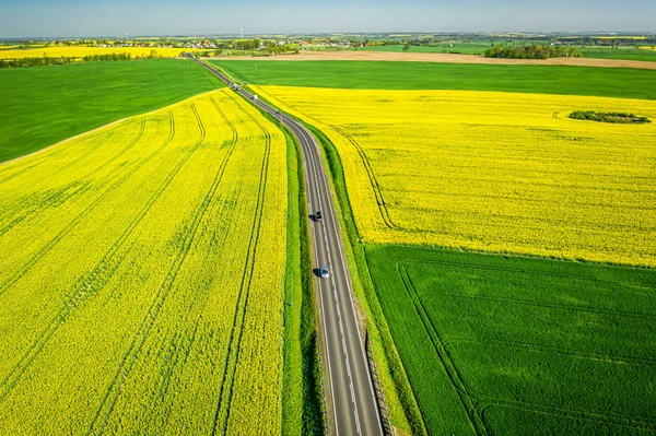 Road and yellow rape fields in sunny day, aerial view — Stock Photo, Image