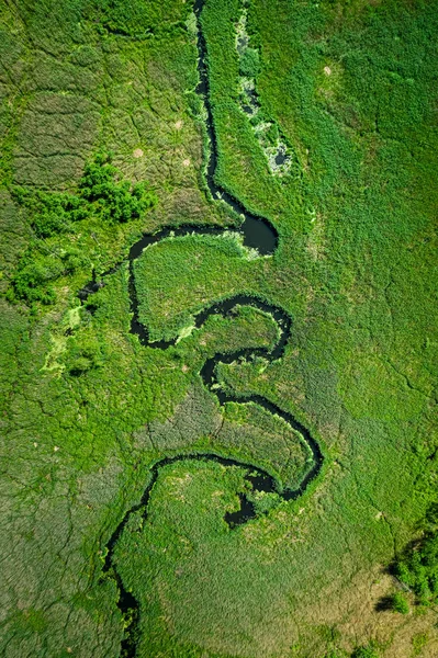 Vy över floden bland de gröna träskmarkerna, Polen — Stockfoto