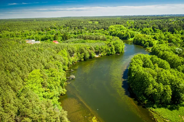 Намотка реки между лесом, вид с воздуха на Польшу — стоковое фото