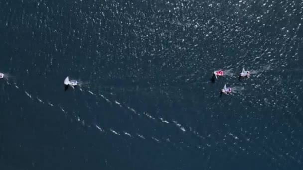 Вид сверху на регату малых судов на озере летом, вид с воздуха — стоковое видео