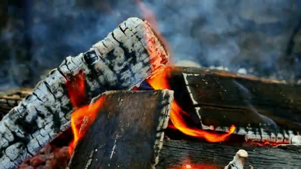 Gros plan de charbons chauds et rouges dans le feu de camp en été — Video