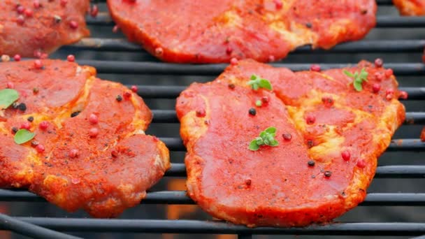 Roher Schweinenacken mit Gewürzen auf einem heißen Grill mit Feuer, Poland — Stockvideo