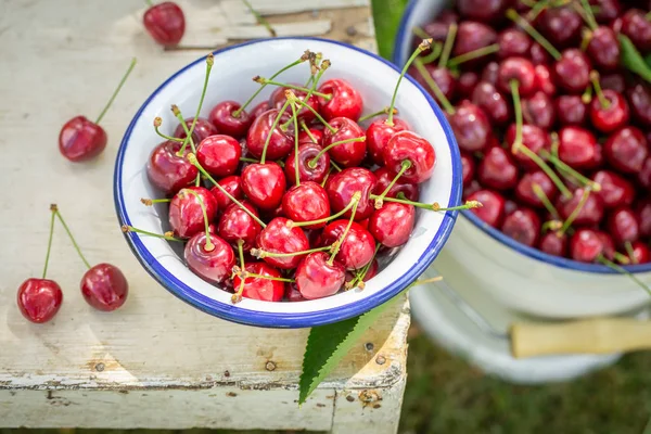 Primer plano de jugosas cerezas dulces en un día soleado — Foto de Stock