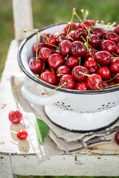 Cerezas rojas dulces en viejo colador blanco en el jardín — Foto de Stock