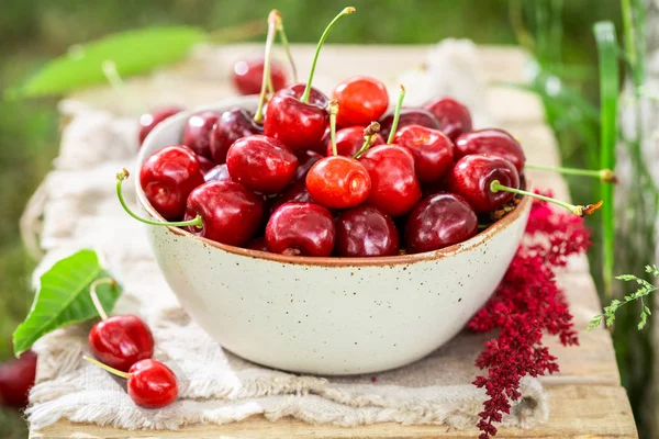 Cerezas rojas dulces en el tazón blanco en el jardín — Foto de Stock