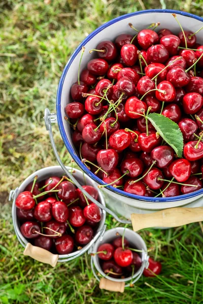 Vista superior de deliciosas cerezas dulces en el jardín de verano — Foto de Stock