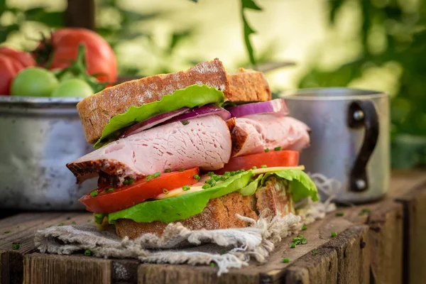 Closeup of sandwich with lettuce, tomato and ham in greenhouse — Stock Photo, Image
