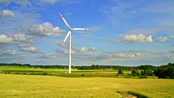 Biała Turbina wiatrowa na boisku, widok z lotu ptaka w lecie — Wideo stockowe