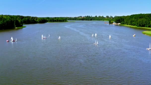 Widok lotniczy regaty białych łodzi na jeziorze — Wideo stockowe