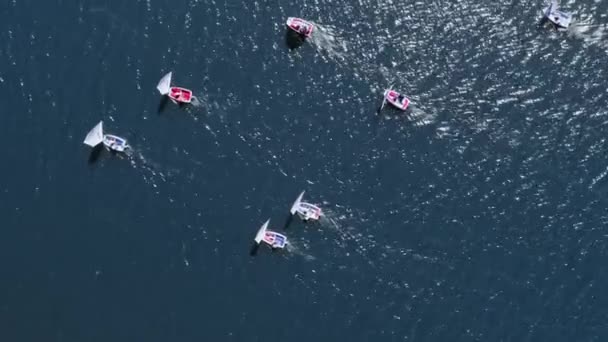 Вид с воздуха на парусные лодки на озере во время соревнований — стоковое видео