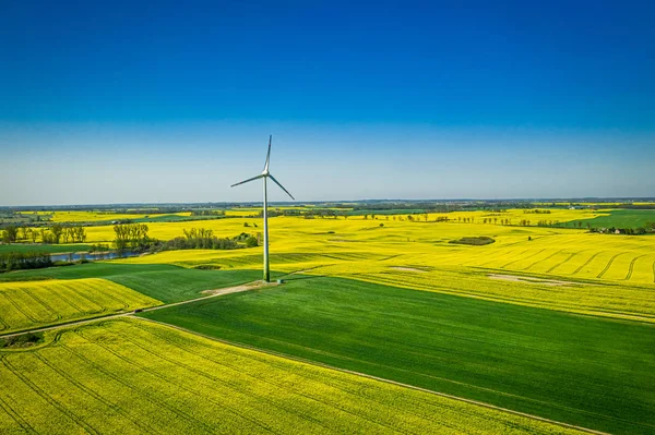 Zelené řepkové pole a větrná turbína, Polsko shora — Stock fotografie