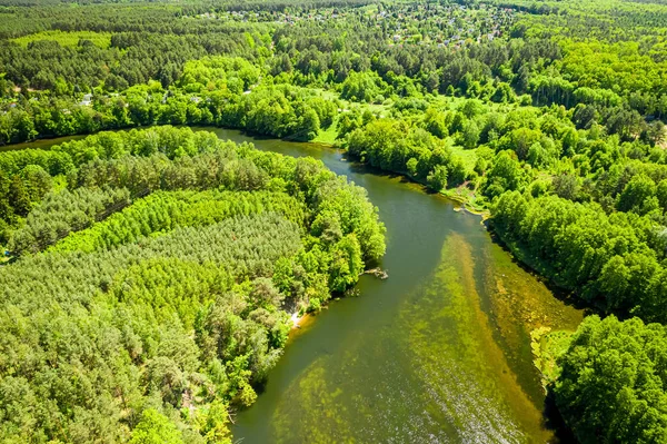 Rio sinuoso entre a floresta, Polônia de cima — Fotografia de Stock