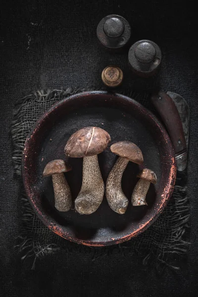 Свежие дикие грибы на старой глиняной тарелке — стоковое фото