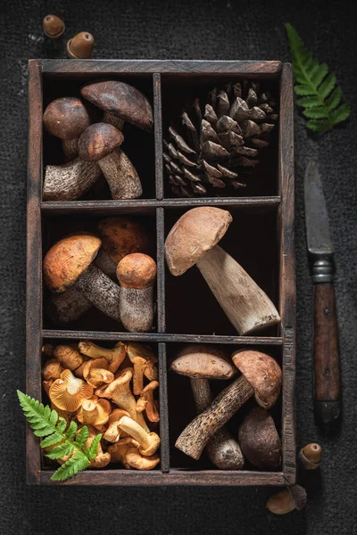 Vista superior de vários cogumelos selvagens coletados em caixa de madeira — Fotografia de Stock