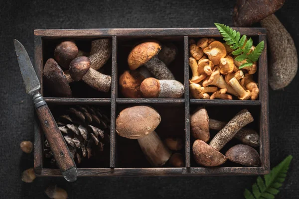 Vários cogumelos selvagens na velha caixa de madeira — Fotografia de Stock