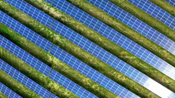 Grande fazenda solar em um campo verde, Polônia — Vídeo de Stock