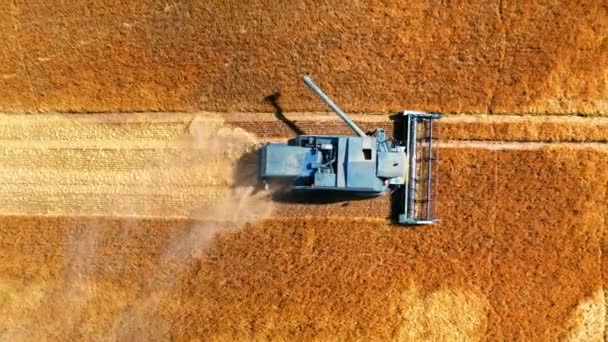Вид с воздуха на комбайн, работающий на поле, Польша — стоковое видео