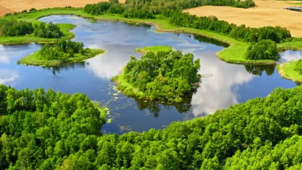 Floresta verde deslumbrante e lago azul no verão, vista aérea — Vídeo de Stock