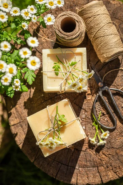 Handgjorda och aromatiska kamomill tvål gjorda av färska ingredienser — Stockfoto