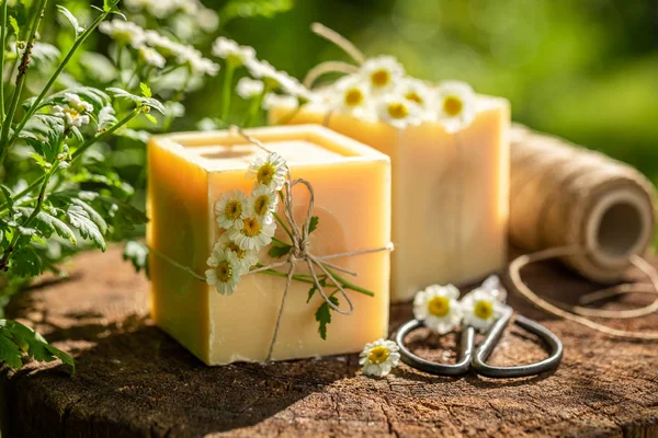 Fukt och naturlig kamomill tvål gjord av färska ingredienser — Stockfoto