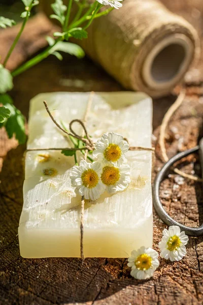 Nedvesség és természetes Kamilla szappan nyári kert — Stock Fotó