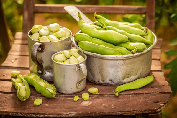 Close-up van groene brede bonen op oude houten stoel — Stockfoto