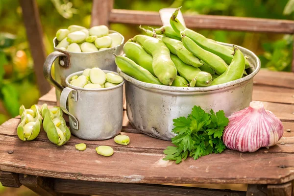 Closeup of broad beans with garlic on old wooden chair — Stock Photo, Image