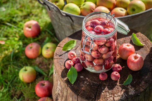 Подготовка к консервированным яблокам в банке в саду — стоковое фото