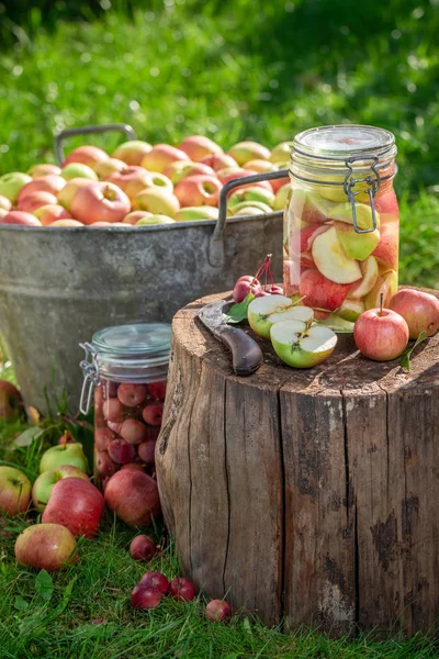 Крупный план домашнего компота яблок в банке летом — стоковое фото