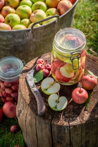 Домашние и сладкие консервированные яблоки в банке в саду — стоковое фото