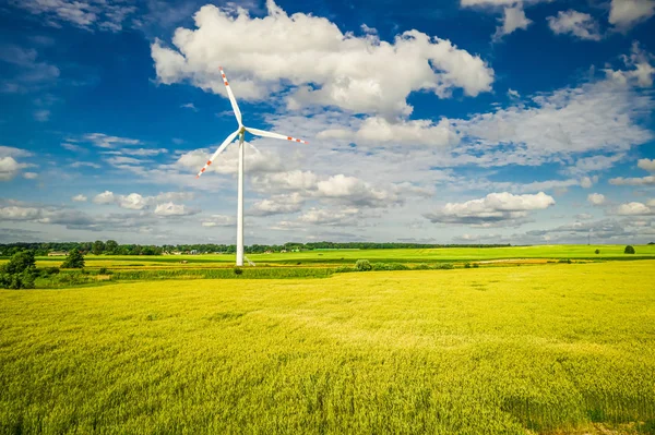 Fehér szélturbina mező a nyáron, légi nézet — Stock Fotó