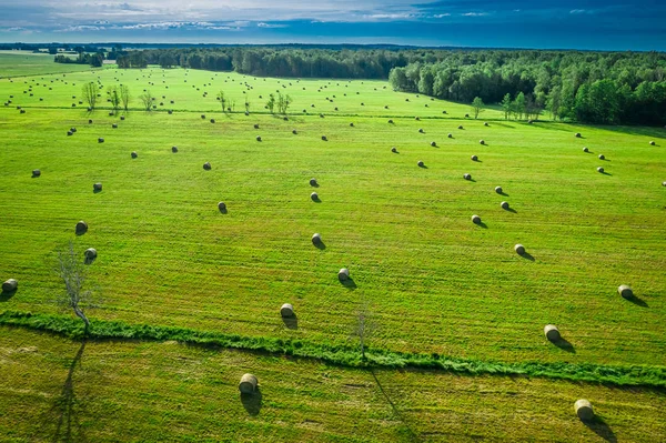 Sheaves of hay on green field in summer in Poland — Stock Photo, Image