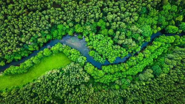 River och Green Forest i Tuchola Natural Park, utsikt från luften — Stockfoto
