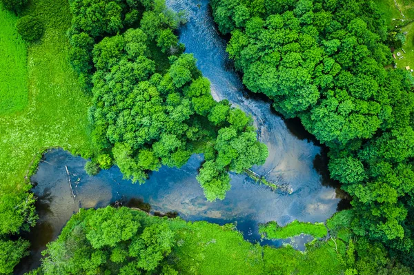Bosque verde y río, vista aérea del parque nacional de Tuchola —  Fotos de Stock