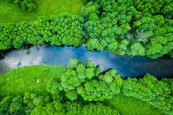 Zelený les a řeka v Tuchola přírodním parku, shora — Stock fotografie