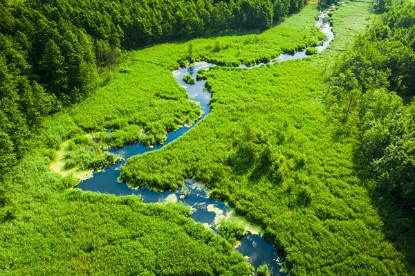 Grüne Sümpfe und kleiner, gewundener Fluss, Blick von oben — Stockfoto