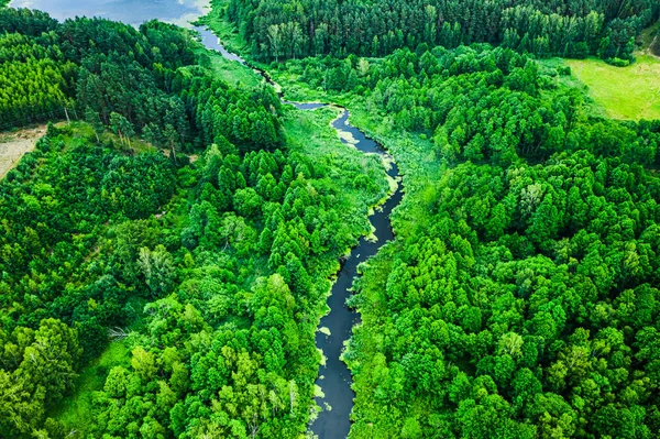 Летом зеленые водоросли на озере, вид с воздуха — стоковое фото