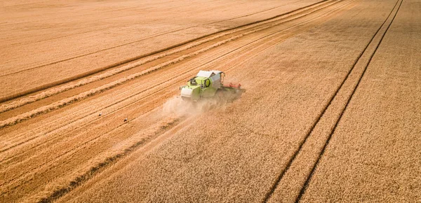 폴란드의 그린 콤바인 수확장, 공중 전경 — 스톡 사진