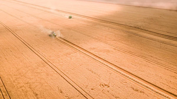 Small harvesters working on big field in Poland, aerial view — Stock Photo, Image