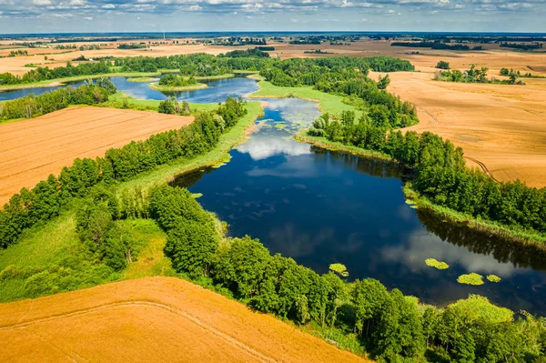 Голубое озеро и зеленый лес летом, вид с воздуха — стоковое фото