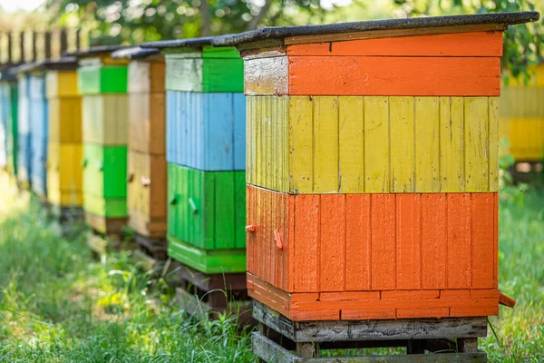 夏の庭で手作りの蜂,ポーランド — ストック写真