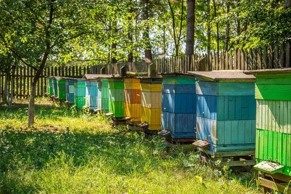 Old apiary in the summer garden, Europe — Zdjęcie stockowe