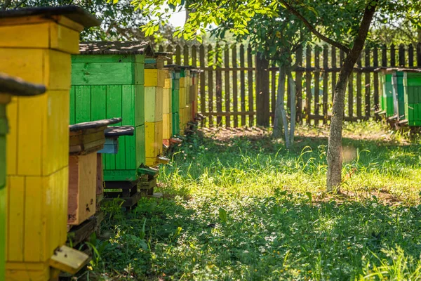 Handmade apiary in summer sunny day, Europe — Zdjęcie stockowe