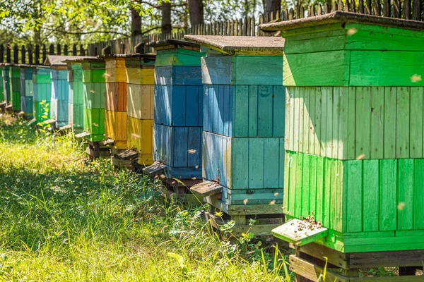 Apiário artesanal cheio de abelhas no jardim de verão — Fotografia de Stock